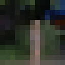 ���������� ������, ���� ������� ����, 44 ����, ������������ ��� ������