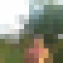  ,   , 54 ,  