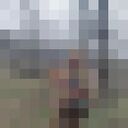 ���������� ����������, ���� ������� ����, 50 ���, ������������ ��� ������