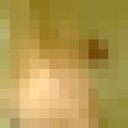 ���������� �������, ���� ������� �������, 31 ���, ������������ 