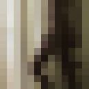  ,   Dim, 51 ,   ,   , c 