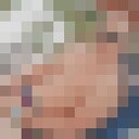 ���������� �������, ���� ������� ����, 31 ���, ������������ ��� ������, ����� � ���������