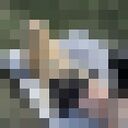 ���������� ������ ��������, ���� ������� ����, 20 ���, ������������ ��� ������, ����� � ���������