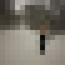 ���������� �������, ���� ����� ����, 19 ���, ������������ ��� ����� � ���������, c�������� ���������