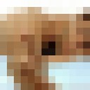  -,   , 42 ,   ,   , c 