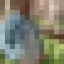  ,   Stix, 50 ,   , 
