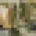 ���������� �����, ���� ������� ALIK, 40 ���, ������������ ��� ������, ����� � ���������