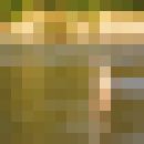 ���������� ����, ���� ������� ������, 40 ���, ������������ 