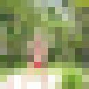   ,   Docentli, 51 ,   