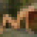  ,   , 41 ,   ,   , c , 