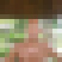 ���������� �����, ���� ������� �����, 37 ���, ������������ ��� ������, ����� � ���������, c�������� ���������, ���������