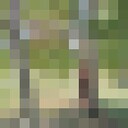  ,   , 37 ,     , c 