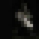 ���������� �����������, ���� ������� �������, 52 ����, ������������ ��� ������, ���������