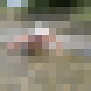  ,   , 43 ,     , c 