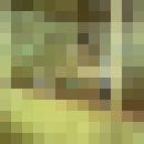 ���������� ������, ���� ������� Cedra68, 48 ���, ������������ ��� ������, ����� � ���������, c�������� ���������, ���������