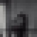 ���������� ������������, ���� ������� �����, 26 ���, ������������ ��� ����� � ���������, c�������� ���������