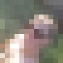 ���������� ��������, ���� ������� ������, 32 ����, ������������ ��� ������, ����� � ���������