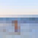 ���������� Algiers, ���� ������� Rip, 41 ���, ������������ ��� ������, ����� � ���������