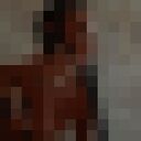 ���������� ���, ���� ������� Alexander, 26 ���, ������������ ��� ������, ����� � ���������, c�������� ���������, ���������