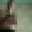   ,    , 20 ,   ,   , 
