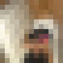  ,   , 40 ,  
