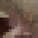 ���������� �����-���������, ���� ������� ����, 46 ���, ������������ ��� ������, ���������