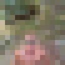 ���������� ����, ���� ������� �����, 39 ���, ������������ ��� ������, ����� � ���������