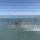 ���������� ������, ���� ������� �����, 31 ���, ������������ ��� ������, ����� � ���������