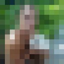  ,   , 33 ,   ,   , c , 
