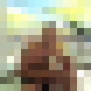  ,   , 51 ,  