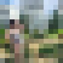 ���������� ����, ���� ������� ����, 33 ����, ������������ ��� ������, ����� � ���������