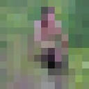  ,   , 46 ,   c 