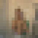  ,   , 35 ,   ,   , 