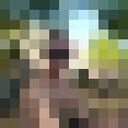 ���������� ������������, ���� ������� �����, 37 ���, ������������ ��� ������, ����� � ���������