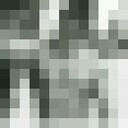  ,   Aibol, 24 ,   ,   