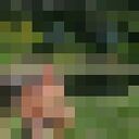  Szczecin Pogodno,   , 34 ,   ,   