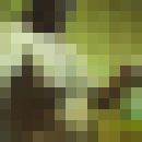  ,   , 54 ,     , c 