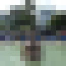 ���������� �������, ���� ������� �����, 41 ���, ������������ ��� ����� � ���������, c�������� ���������