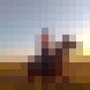 ���������� ������, ���� ������� ������, 42 ����, ������������ ��� c�������� ���������