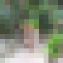  ,   , 70 ,   