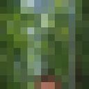 ���������� �����, ���� ����� �������, 21 ���, ������������ ��� ������, ����� � ���������