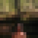 ,   , 52 ,   ,   , 