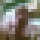  ,   Wiktor, 44 ,   