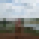  ,   , 31 ,   ,   , c , 