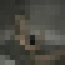 ���������� ������, ���� ������� ���, 23 ����, ������������ ��� ������, ����� � ���������