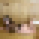 ���������� ���������, ���� ������� ��������, 40 ���, ������������ ��� ������, ����� � ���������