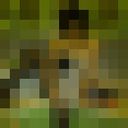  ,   , 49 ,     , c 