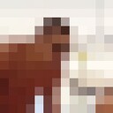 ���������� ���������, ���� ������� �����, 35 ���, ������������ ��� ������, ����� � ���������, c�������� ���������