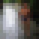  ,    , 44 ,   ,   , c 