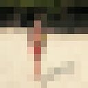 ���������� �����, ���� ������� ���������, 37 ���, ������������ ��� ������, ����� � ���������